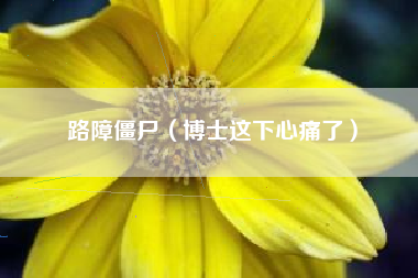 路障僵尸（博士这下心痛了）