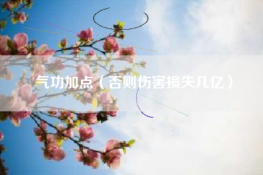 气功加点（否则伤害损失几亿）