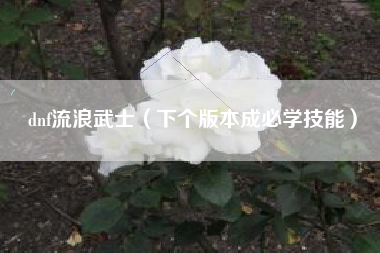 dnf流浪武士（下个版本成必学技能）