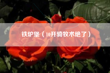 铁炉堡（10开骑牧术绝了）