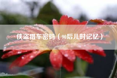 侠盗猎车密码（90后儿时记忆）