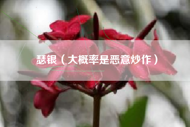 瑟银（大概率是恶意炒作）