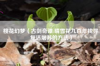 桃花幻梦（古剑奇谭:晴雪花九百年找寻复活屠苏的方法）