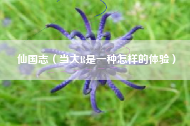 仙国志（当大R是一种怎样的体验）