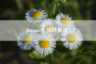 flotsam（ 汉诗英译）
