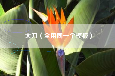 太刀（全用同一个模板）