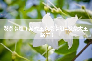 发条卡组（游戏王发条卡组--发条大王、蜗牛）