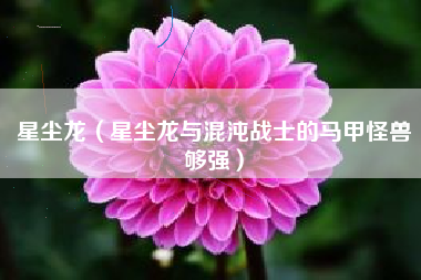 星尘龙（星尘龙与混沌战士的马甲怪兽够强）