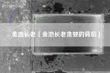 金池长老（金池长老贪婪的背后）