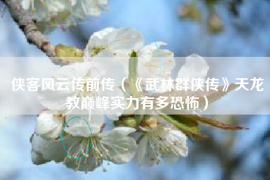 侠客风云传前传（《武林群侠传》天龙教巅峰实力有多恐怖）