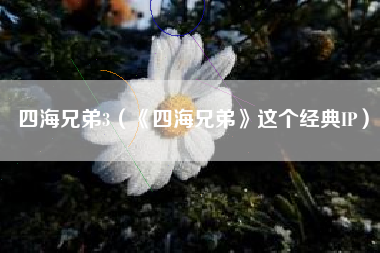 四海兄弟3（《四海兄弟》这个经典IP）