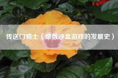 传送门骑士（细数沙盒游戏的发展史）