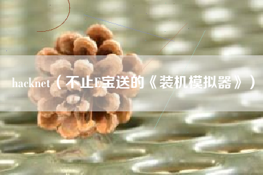 hacknet（不止E宝送的《装机模拟器》）
