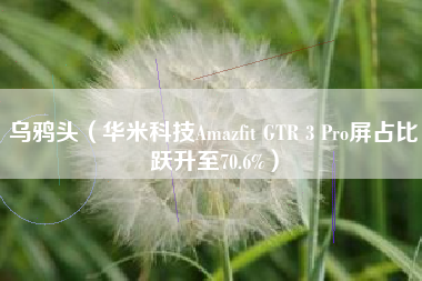 乌鸦头（华米科技Amazfit GTR 3 Pro屏占比跃升至70.6%）