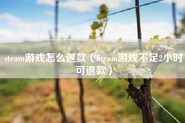 steam游戏怎么退款（Steam游戏不足2小时可退款）