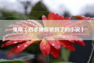 鬼斯（四本被惊艳到了的小说）