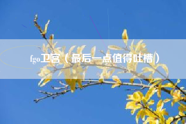 fgo卫宫（最后一点值得吐槽）