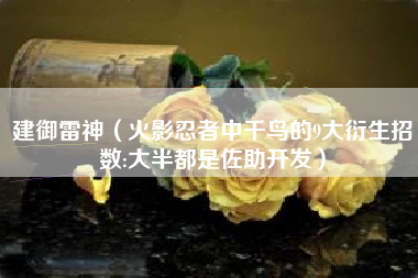 建御雷神（火影忍者中千鸟的9大衍生招数:大半都是佐助开发）