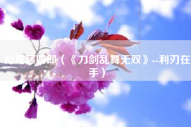 鲶尾藤四郎（《刀剑乱舞无双》--利刃在手）