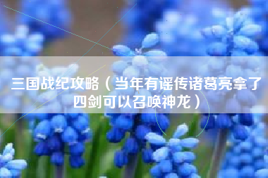 三国战纪攻略（当年有谣传诸葛亮拿了四剑可以召唤神龙）