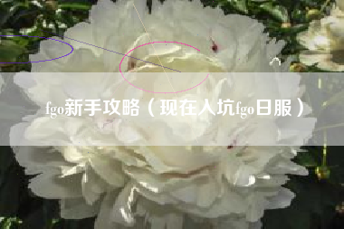 fgo新手攻略（现在入坑fgo日服）