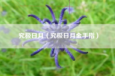 究极日月（究极日月金手指）