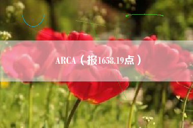 ARCA（报1658.19点）