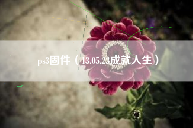 ps3固件（13.05.23成就人生）