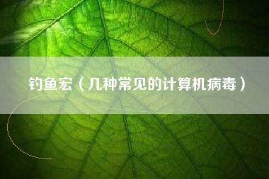 钓鱼宏（几种常见的计算机病毒）
