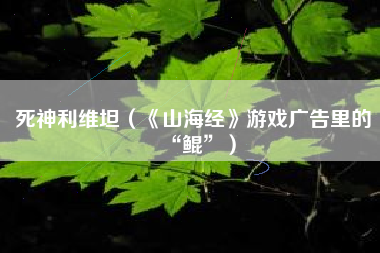 死神利维坦（《山海经》游戏广告里的“鲲”）