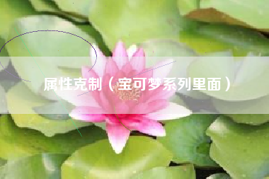 属性克制（宝可梦系列里面）