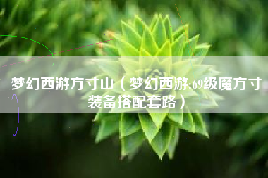 梦幻西游方寸山（梦幻西游:69级魔方寸装备搭配套路）