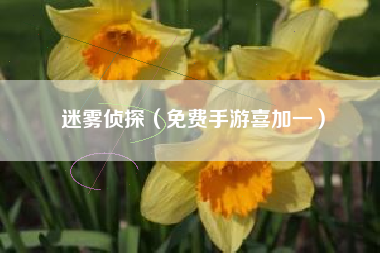 迷雾侦探（免费手游喜加一）