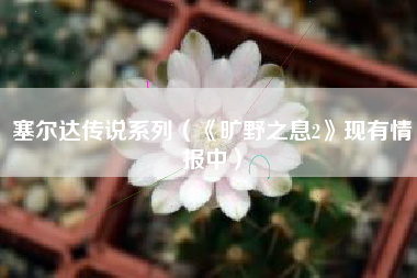塞尔达传说系列（《旷野之息2》现有情报中）