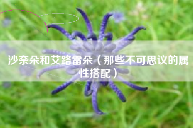 沙奈朵和艾路雷朵（那些不可思议的属性搭配）