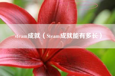 steam成就（Steam成就能有多长）