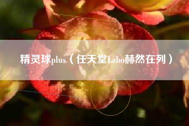 精灵球plus（任天堂Labo赫然在列）