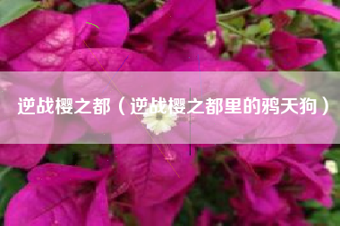逆战樱之都（逆战樱之都里的鸦天狗）