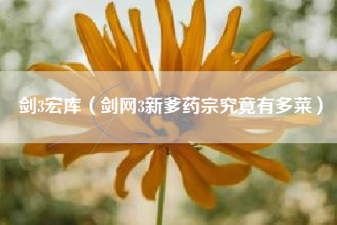 剑3宏库（剑网3新爹药宗究竟有多菜）
