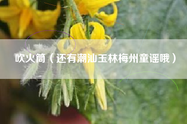 吹火筒（还有潮汕玉林梅州童谣哦）