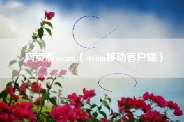 网页版steam（steam移动客户端）