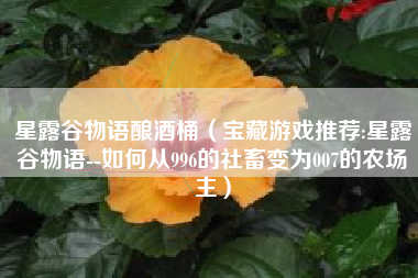 星露谷物语酿酒桶（宝藏游戏推荐:星露谷物语--如何从996的社畜变为007的农场主）