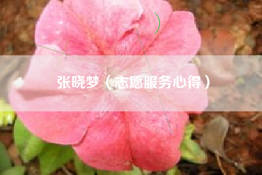 张晓梦（志愿服务心得）