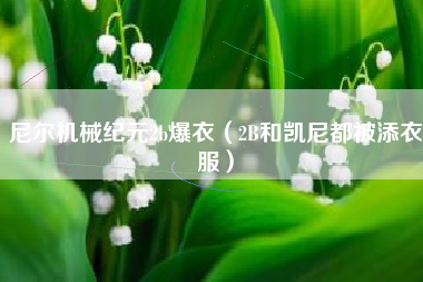 尼尔机械纪元2b爆衣（2B和凯尼都被添衣服）