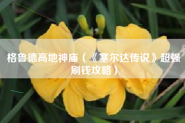 格鲁德高地神庙（《塞尔达传说》超强刷钱攻略）