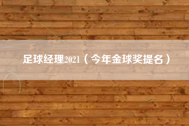 足球经理2021（今年金球奖提名）