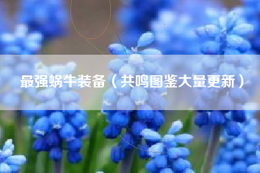 最强蜗牛装备（共鸣图鉴大量更新）