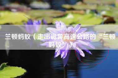 兰顿蚂蚁（走出诡异高速公路的“兰顿蚂蚁”）
