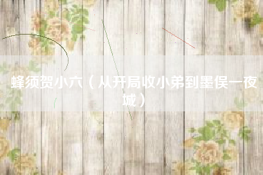 蜂须贺小六（从开局收小弟到墨俣一夜城）