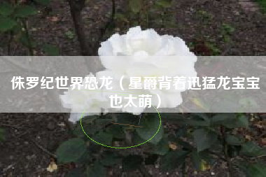 侏罗纪世界恐龙（星爵背着迅猛龙宝宝也太萌）